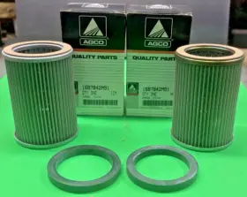 Agco 1687042m91 Oem Hydraulic Filter For Massey Ferguson Tractors 2 Pack Fs