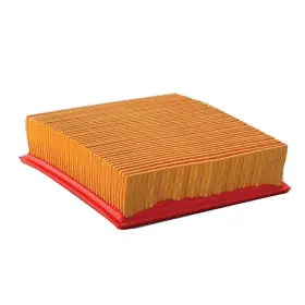 P622149 Donaldson Air Filter Panel