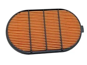 Af4199 Fleetguard Air Filter