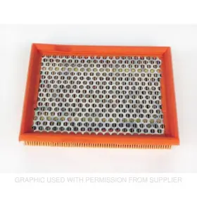 Fgaf25307 Freightliner Air Filter For