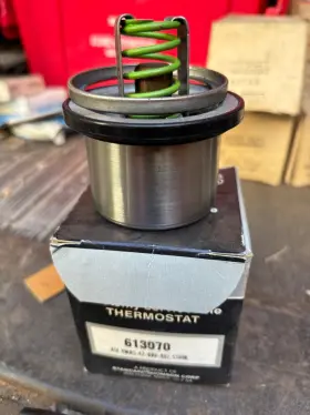 613070 Weir-stat Thermostat 9w
