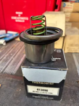 613090 Weir-stat Thermostat 9w