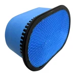 Air Filter ME422880 ML242294 For 2012-2017 Mitsubishi Fuso Canter P636691. Fixed Price $26.00.