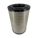Donaldson P821938 Radial Seal Air Filter, Primary Type. Fixed Price $96.99.