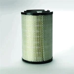 Donaldson P821938 Air Filter Primary Radialseal. Fixed Price $113.99.