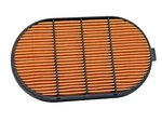 Fleetguard AF4199 Air Filter. Fixed Price $66.95.