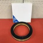 A40124 Air Filter 1969-72 Ford Mustang Torino Maverick Montego 250 C9ZZ-A. Fixed Price $14.99.