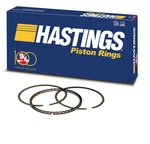 Hastings 2C5270020 Engine Piston Ring. Fixed Price $80.99.