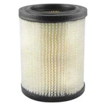 Air Filter Baldwin PA2083. Fixed Price $16.99.