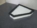 Hastings AF1395 Air Filter. Fixed Price $29.97.