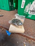 Perfection WT291-50 9W. Fixed Price $50.00.