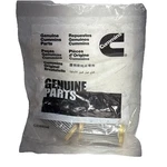 (bag Of 2) Cummins 3090769 Filter Screen; Some Missing Packaging. Fixed Price $64.99.