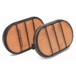 Fleetguard AF4199 Air Filter. Fixed Price $105.44.