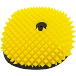 Funnelweb Filter Proline Air For Beta. Fixed Price $39.92.
