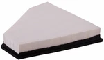Premium Guard PA5796 Engine Air Filter For Select 06-13 Bmw Models. Fixed Price $45.99.