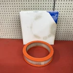 A40113 Air Filter Element Wix 42073 (ford D2AE-9601-AA). Fixed Price $14.99.