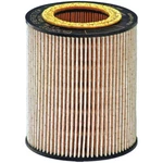 Fuel Filter Luber-finer L6916F Hengst E412KP02D55. Fixed Price $7.99.