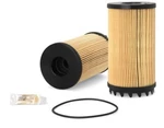Genuine Fleetguard FS20173 Fuel Filter. Fixed Price $41.95.