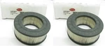 (2) Luberfiner LAF5827 Air Filter Replaces CA8587 42710 AF4106 P606074 87710. Fixed Price $22.49.