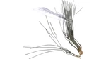 Filter Element Compatible With Case New Holland Cnhi, Part # 418481A1. Fixed Price $47.49.